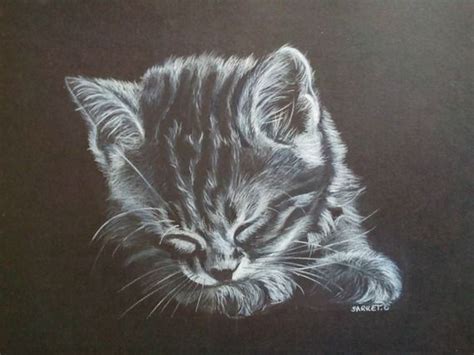 Les linottes (1912) de georges courteline: Dessin noir et blanc d'un chaton dormant paisiblement. | Dessin noir et blanc, Dessin, Noir et blanc
