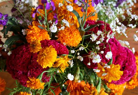Bliss n eso were the winners in the hip hop category at the 2003 music oz awards and nominees for artist of the year in 2004. Flowers for Day Of the Dead | the colour combinations are ...