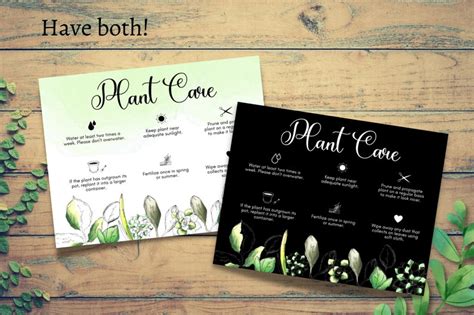 Plant Care Instructions Card Houseplant Care Cards Succulent Care