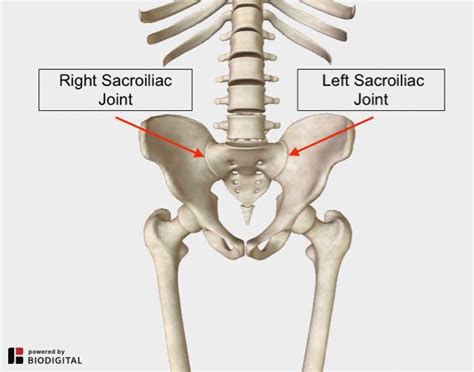 Sacroiliac Joint Dysfunction A Clear Definition And Strategies For Relief