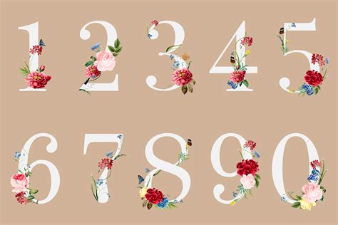 Botanical Numbers With Tropical Flowers Illustration Download Free