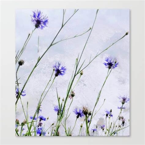cornflowers blue ii canvas print by kay weber canvas prints wall art canvas prints canvas