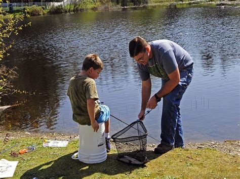 How To Set Up Fishing Gear For Kids Energise Kids