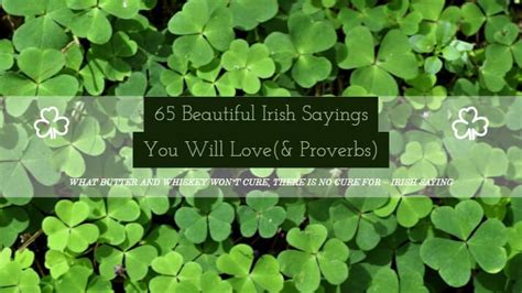 65 Irish Sayings You Will Love 1 Irish Around The World