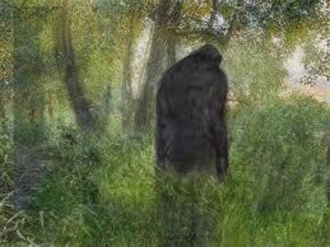 Bigfoot Observed Near Green Lakes State Park Ny Nexus