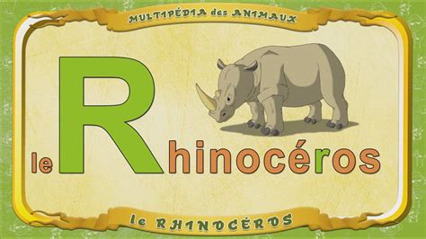 Multipédia Des Animaux La Lettre R Le Rhinocéros Youtube