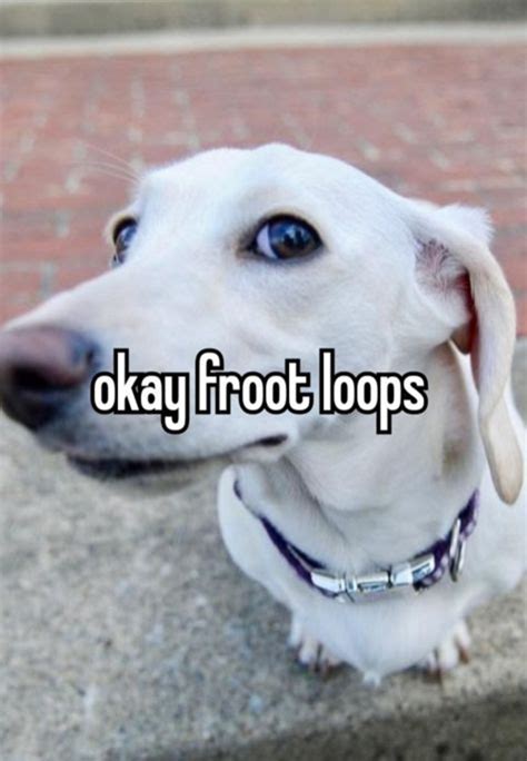 Okay Froot Loops Homophobic Dog Not Too Fond Of Gay People Know