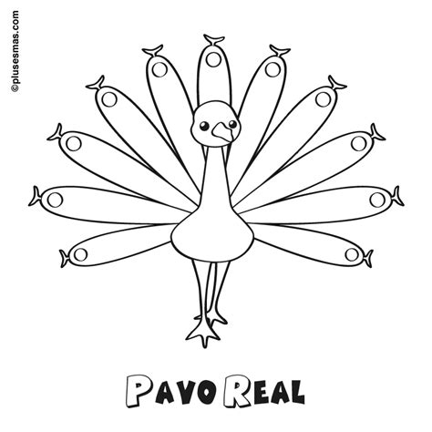 Dibujo de pavo real para pintar Imagui
