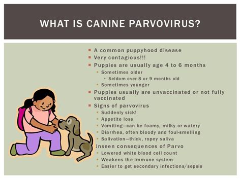 We did not find results for: My Puppy Has Parvo! Now What?