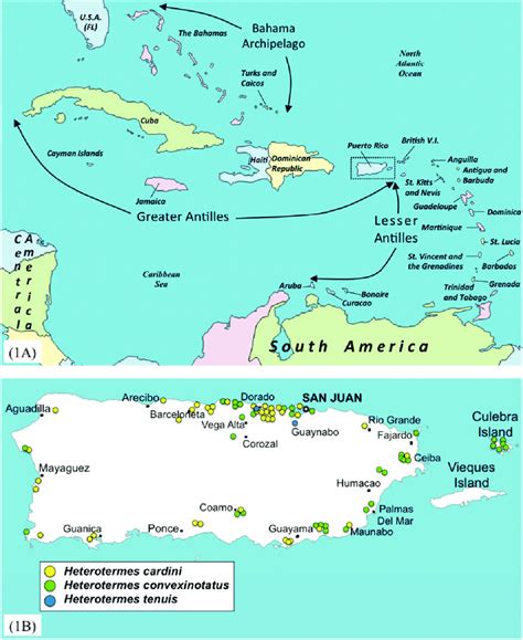A The Caribbean Basin Also Known As The West Indies Includes The