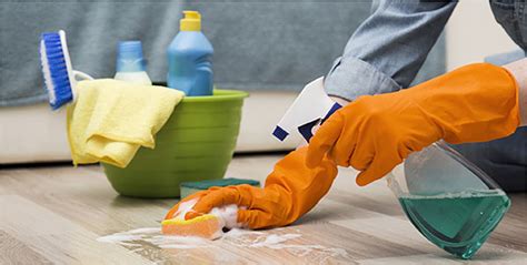 Commercial Cleaning Services In Severn Reliability Quality Efficiency