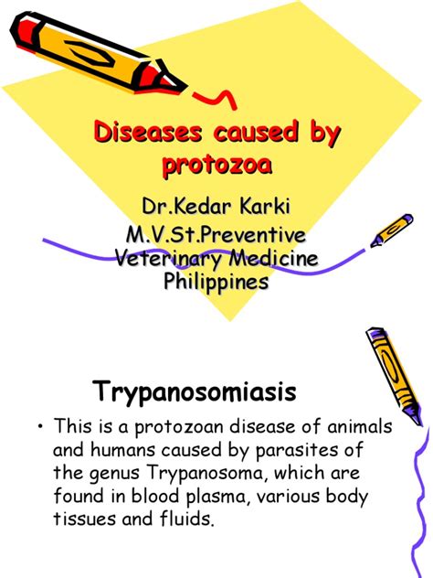 Diseases Caused By Protozoa Medical Specialties Diseases And Disorders