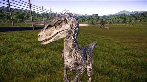 Jurassic Passion On Instagram “what If Blue Was A Jp3 Male Raptor Jwe Mods Have The Answer I