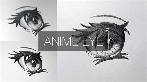Very detailed instructions with step by step parts and how your characters look. how to draw anime eye for beginners step by step || anime ...