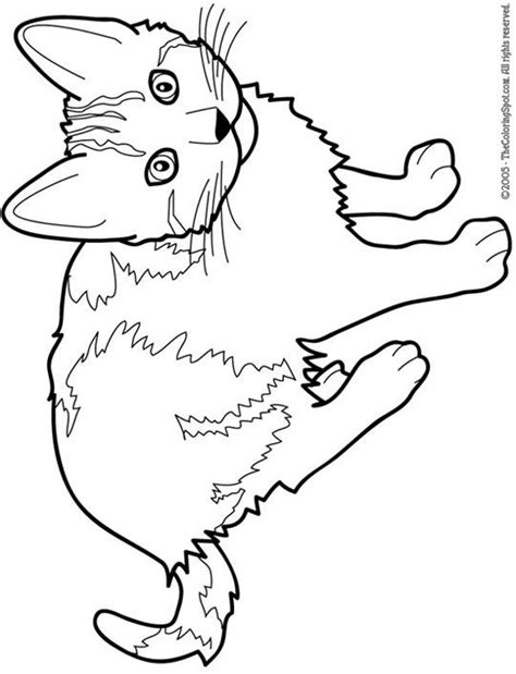 Tabby Cat Coloring Pages ~ Cats Warriors Coloring Printable Wonder