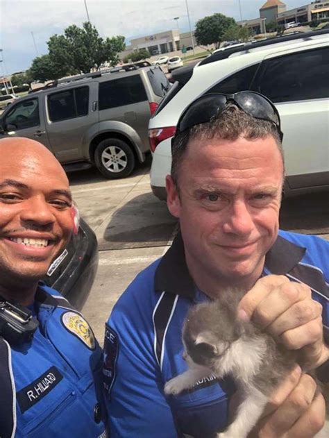 Kittens Can T Stop Cuddling With The Police Officer Who Saved Their