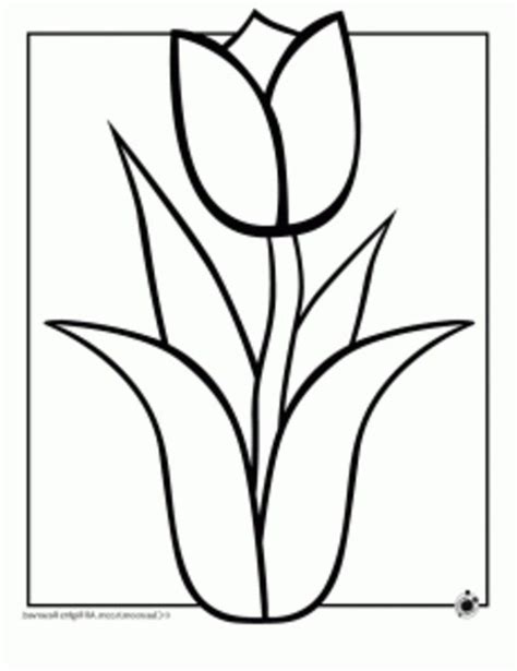 Free printable hibiscus coloring pages for kids | embroidery. Printable Coloring Pages Of Hawaiian Flowers - Coloring Home