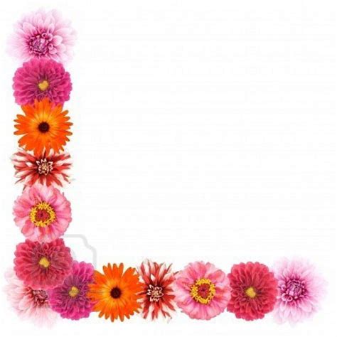 What Will June Flower Border Clipart Be Like In The Next 14 Years