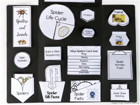 Spider Lapbook Simple Living Creative Learning