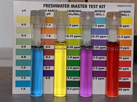 Cycling a new tank. I'm so close I can almost taste it! What are your