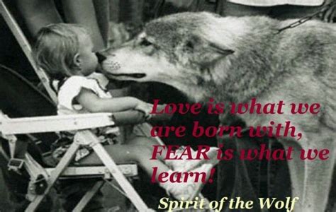 Spirit Of The Wolf Wolf Poem Cute Quotes Animals Beautiful
