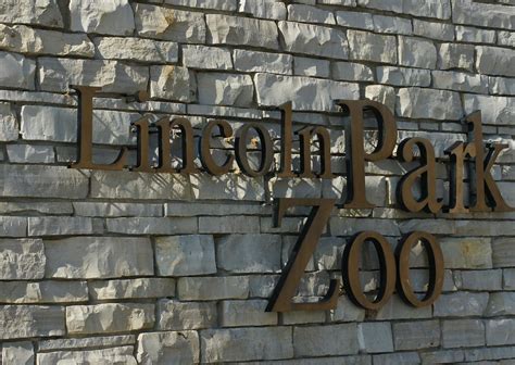 Lincoln Park Zoo 32109 Paul J Everett Flickr