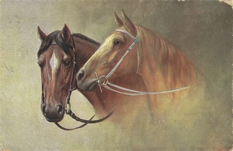 1910 Pair In Bridles Vintage Horse Art Postcard
