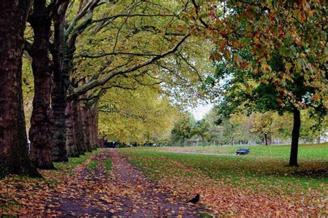 Hyde Park One Of London S Eight Royal Parks Stock Photo Image Of