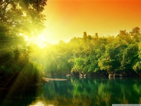 Forest Sunrise Wallpapers Top Free Forest Sunrise Backgrounds