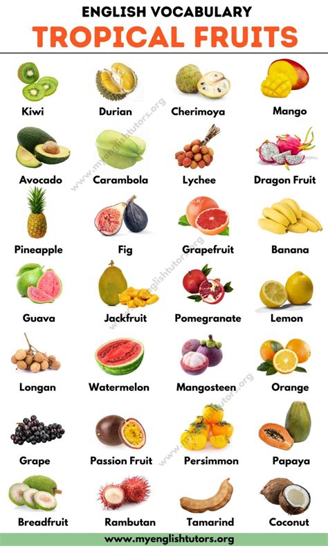 Tropical Fruits List Of 25 Tropical Fruits You Should Try My