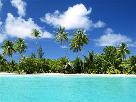 Best Tropical Beaches In The World Wallpaper High Quality Flickr
