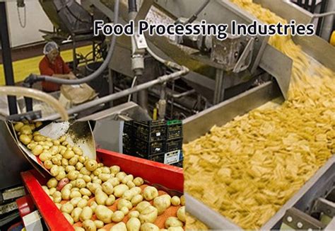 Growth Rate In Gwa In Food Processing Industry Stands At 687 Per Cent