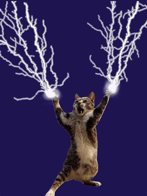Lightning Cat T Shirt By Vicdesign Redbubble
