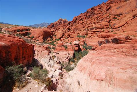 Red Rock Canyon National Conservation Area The Complete Guide