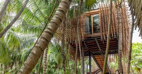 The 5 Most Amazing Treehouse Hotels In Tulum