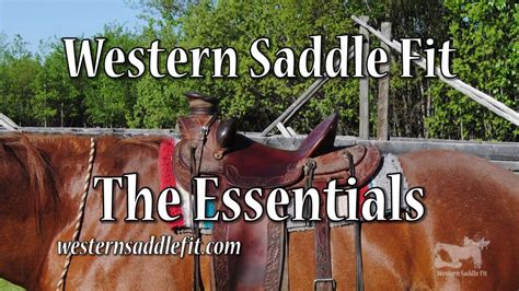 Western Saddle Fit The Essentials Western Saddle Saddle Fitting