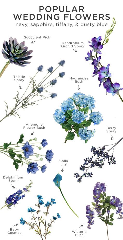 Blue Flower Names And Meanings Idalias Salon