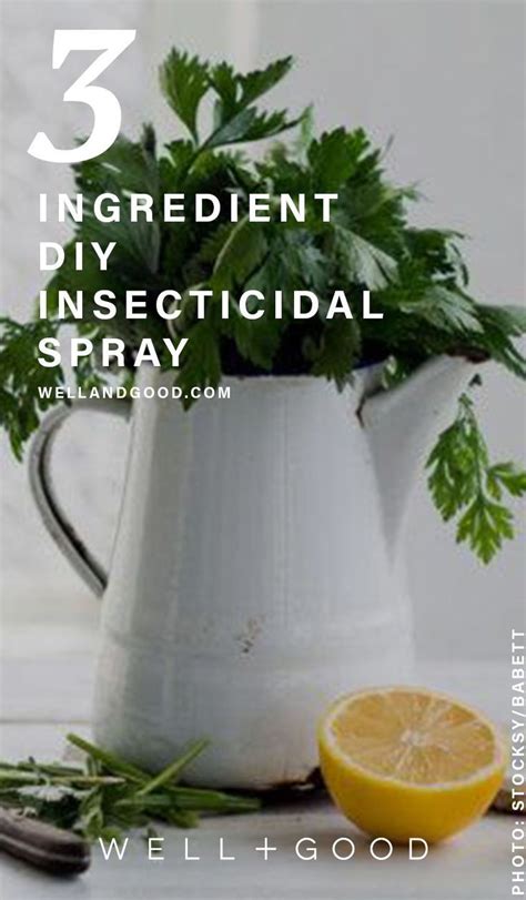 Diy An Easy Homemade Indoor Plant Bug Spray Wellgood