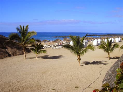 Winter Holidays In Playa De Las Americas By Zubi Travel