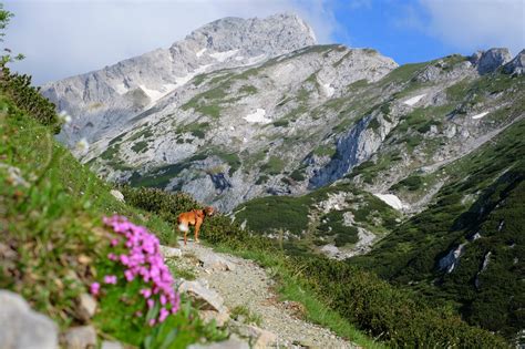 Trail Towards Ojstrica Kamnik Savinja Alps Travelsloveniaorg All