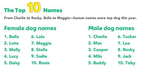 These Were The Top 10 Male And Female Dog Names In Canada