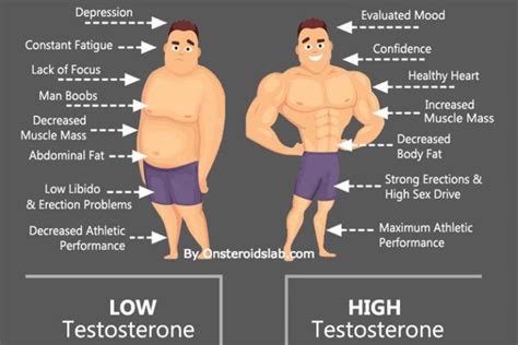 Low Testosterone Symptoms Causes Effects And Treatment •