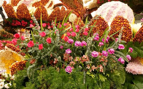 50 Most Beautiful Nature Wallpaper Flowers Wallpapersafari