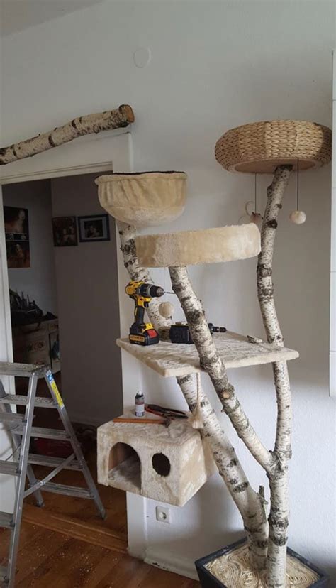 10 Diy Cat Trees And Other Furniture To Help Your Kitty Lounge And Play
