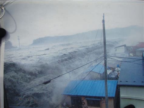 Tsunami Height in 2011 Tohoku Earthquake and Tsunami in Japan in 2021 | Tsunami, Earthquake 