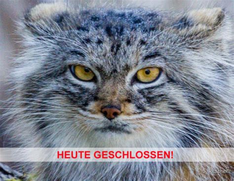 Betroffen waren die stadtteile schwabing west und. Tierpark Hellabrunn bleibt heute, 03.07.2020 wegen ...