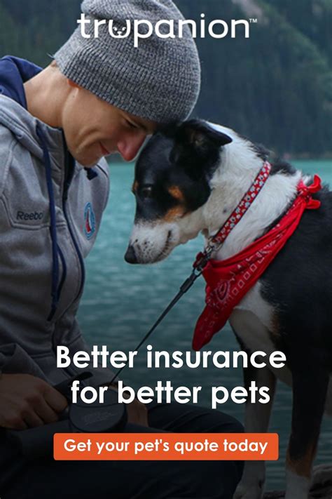 Better Insurance For Better Pets | Pets, Dog insurance, Animal quotes
