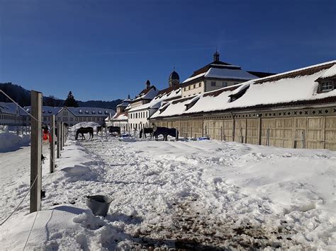 Read hotel reviews and choose the best hotel deal for your stay. W47 Einsiedeln - Trachslau