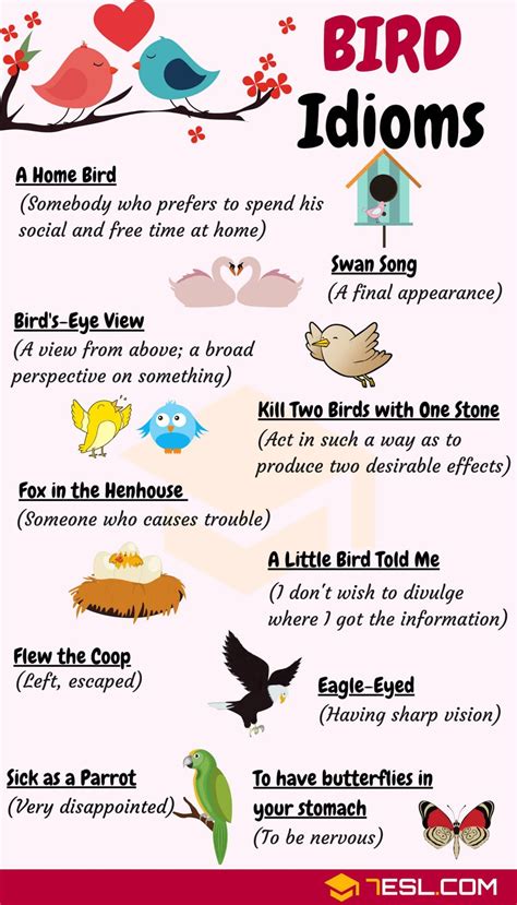 Bird Idioms 27 Useful Idioms About Birds With Examples Learn English