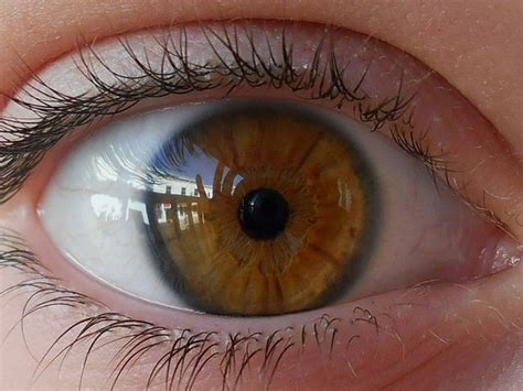 Rare Eye Color In The World
